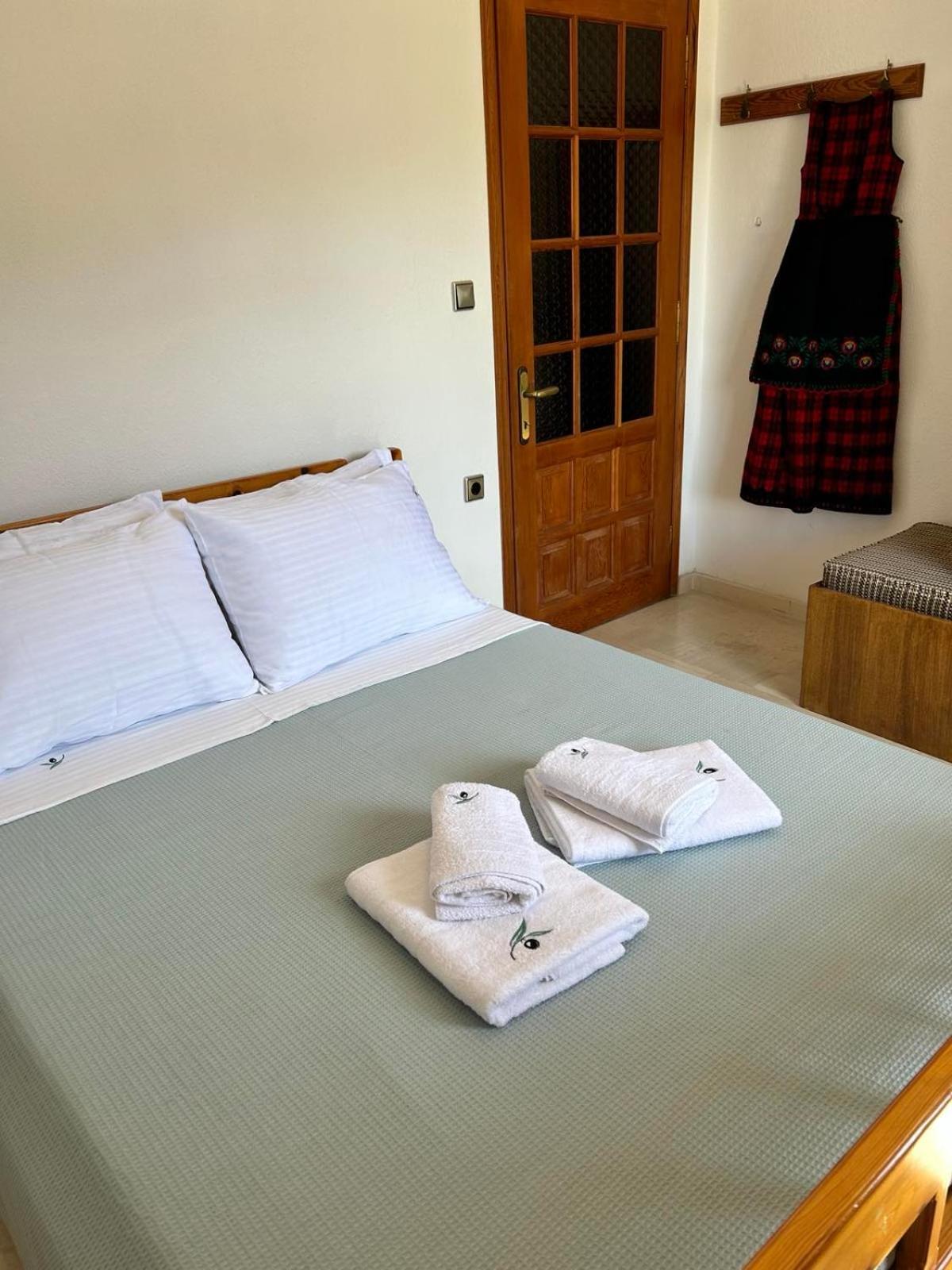 το σπίτι της πλατείας Apartment Metsovo